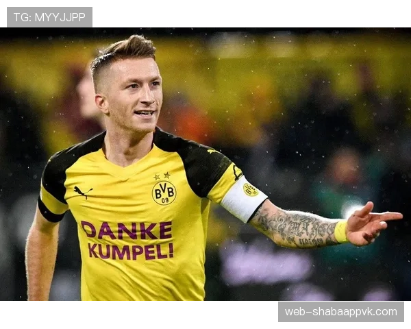 罗伊斯多特蒙德时期战术转型与顶级射手表现解析