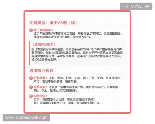 犯规判定规则详解：关键判罚标准与裁判执法原则