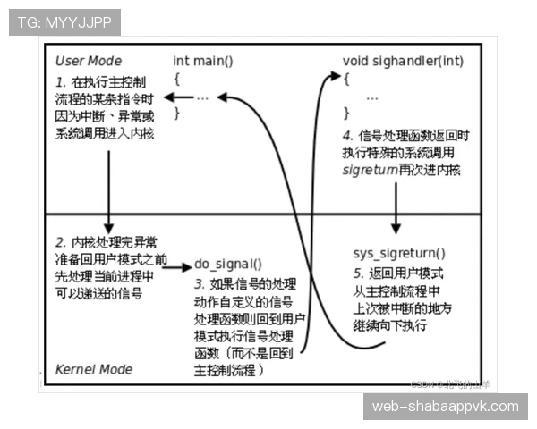 技术犯规处罚规则详解，教你如何正确判罚与技术犯规申诉流程