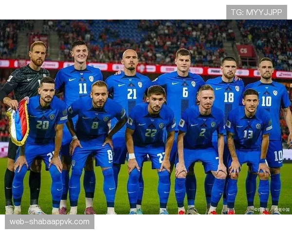 波黑冲击2026世界杯：晋级前景、阵容解析与出线形势分析